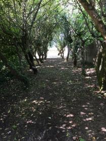 Vendo terreno edificable 10,000 m2 a 15 minutos de Nantes