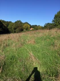 Vendo terreno edificable 10,000 m2 a 15 minutos de Nantes