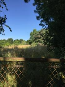 Vendo terreno edificable 10,000 m2 a 15 minutos de Nantes