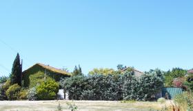 Alojamiento para perros y gatos - Finca agrícola de 26.600 m2