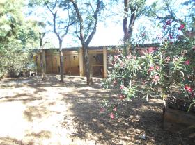 Alojamiento para perros y gatos - Finca agrícola de 26.600 m2