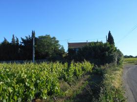 Alojamiento para perros y gatos - Finca agrícola de 26.600 m2