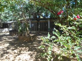 Alojamiento para perros y gatos - Finca agrícola de 26.600 m2