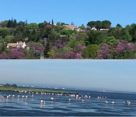 Venta de un piso de 75 m2 situado al lado del Parque del Luberon