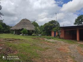 16 ha Terreno 15 minutos del centro de Penonomé