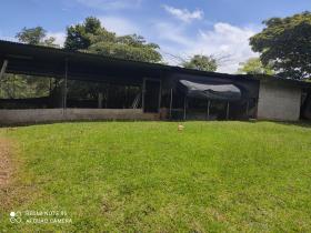 16 ha Terreno 15 minutos del centro de Penonomé