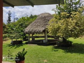 16 ha Terreno 15 minutos del centro de Penonomé