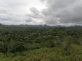 16 ha Terreno 15 minutos del centro de Penonomé