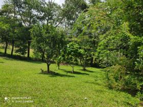 16 ha Terreno 15 minutos del centro de Penonomé