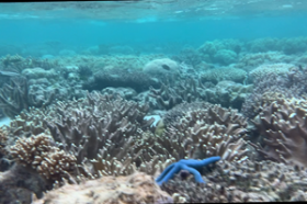 Isla Prime de 27 hectáreas con amplio potencial de desarrollo