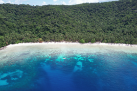 Casi 4 hectáreas de primera línea de playa en una isla tropical