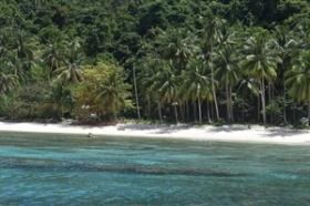 Casi 4 hectáreas de primera línea de playa en una isla tropical