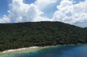 Casi 4 hectáreas de primera línea de playa en una isla tropical