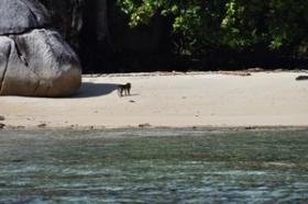 Más de 3 hectáreas de playa paradisíaca: nuevo en el mercado