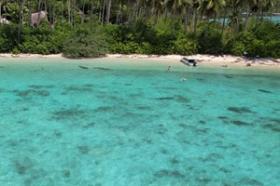 Frente a la playa doble, plantación de cocos existente, promontorio increíble con cascada estacional