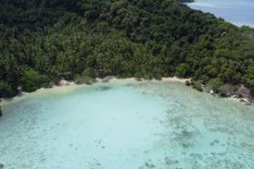 Primera línea de playa bordeada de palmeras frente a Pavilions Hotel Group Islands
