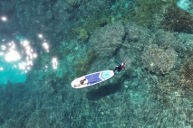 Primera línea de playa bordeada de palmeras frente a Pavilions Hotel Group Islands