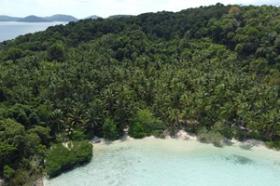 Primera línea de playa bordeada de palmeras frente a Pavilions Hotel Group Islands