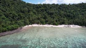 Frente a una playa privada bordeada de palmeras, desarrollo zonificado: vistas elevadas y corales superiores