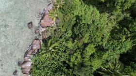 Frente a una playa privada bordeada de palmeras, desarrollo zonificado: vistas elevadas y corales superiores