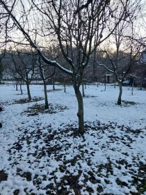 Casa grande con patio interior y anexo en venta