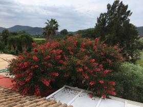 Casa de 190 m2 orientada al sur con vista abierta a un jardín arbolado.