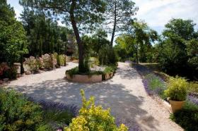 Preciosa casa provenzal, 2 ha 300 - 7 habitaciones - Piscina de 15 x 7 m