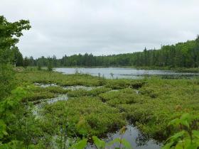 Finca de 5 lotes arbolados en Quebec desarrollados para la cría y caza de ciervos