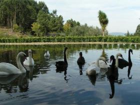 En venta la propiedad de 10 ha con 2 casas