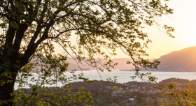 Terreno en venta con espléndidas vistas a la bahía de Kotor