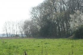 Finca rural a 80 km de París en una parcela de 4,7 ha