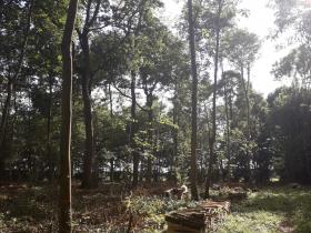 Finca rural a 80 km de París en una parcela de 4,7 ha